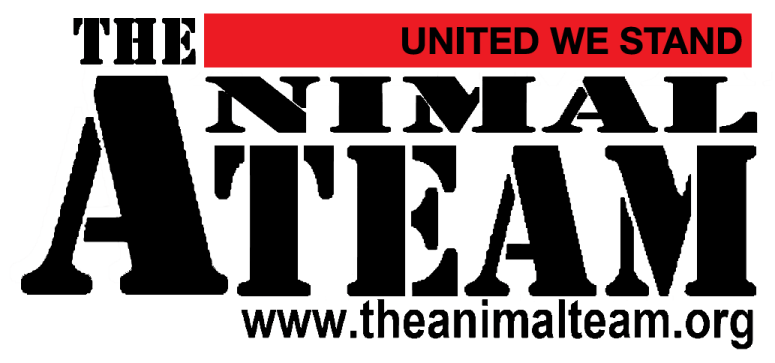 animalteam