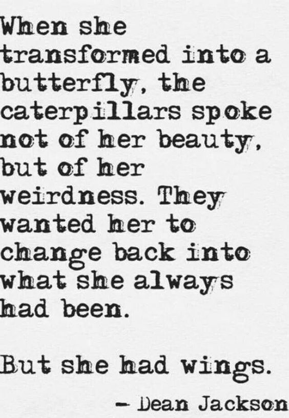 78182fb3f390fd8c70c953c7e039aaff