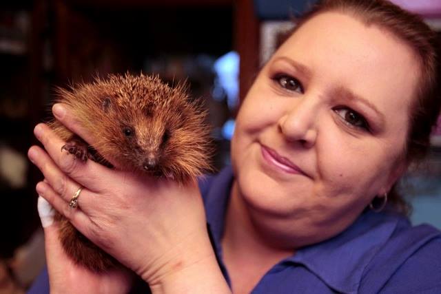 12507173_542200752613720_1987694367092573663_n