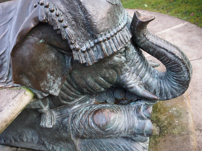 OLYMPUS DIGITAL CAMERA