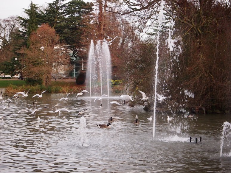 OLYMPUS DIGITAL CAMERA