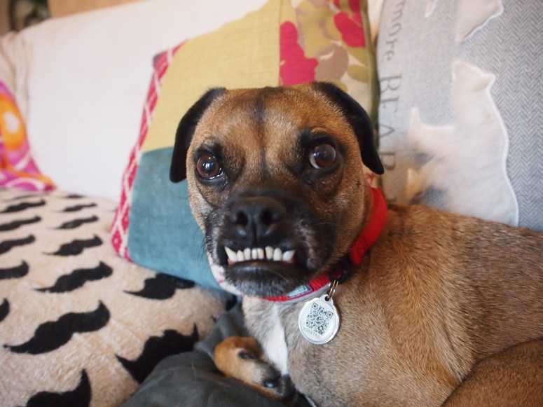 2011-01-01 00.00.00-311.jpg