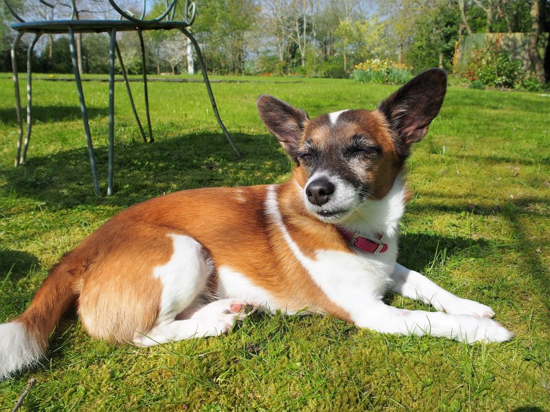 2010-12-31 23.00.00-63.jpg