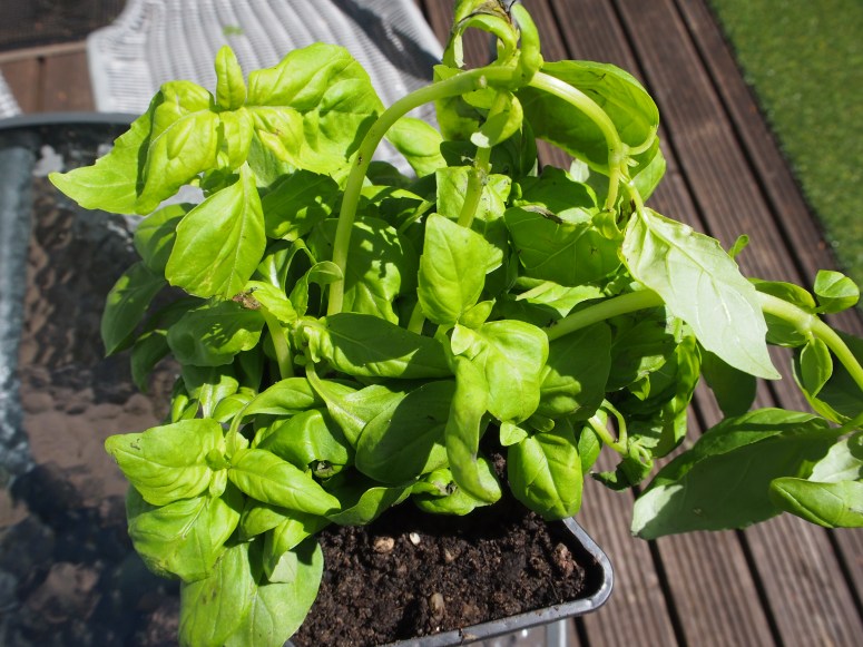 2010-12-31 23.00.00-250.jpg