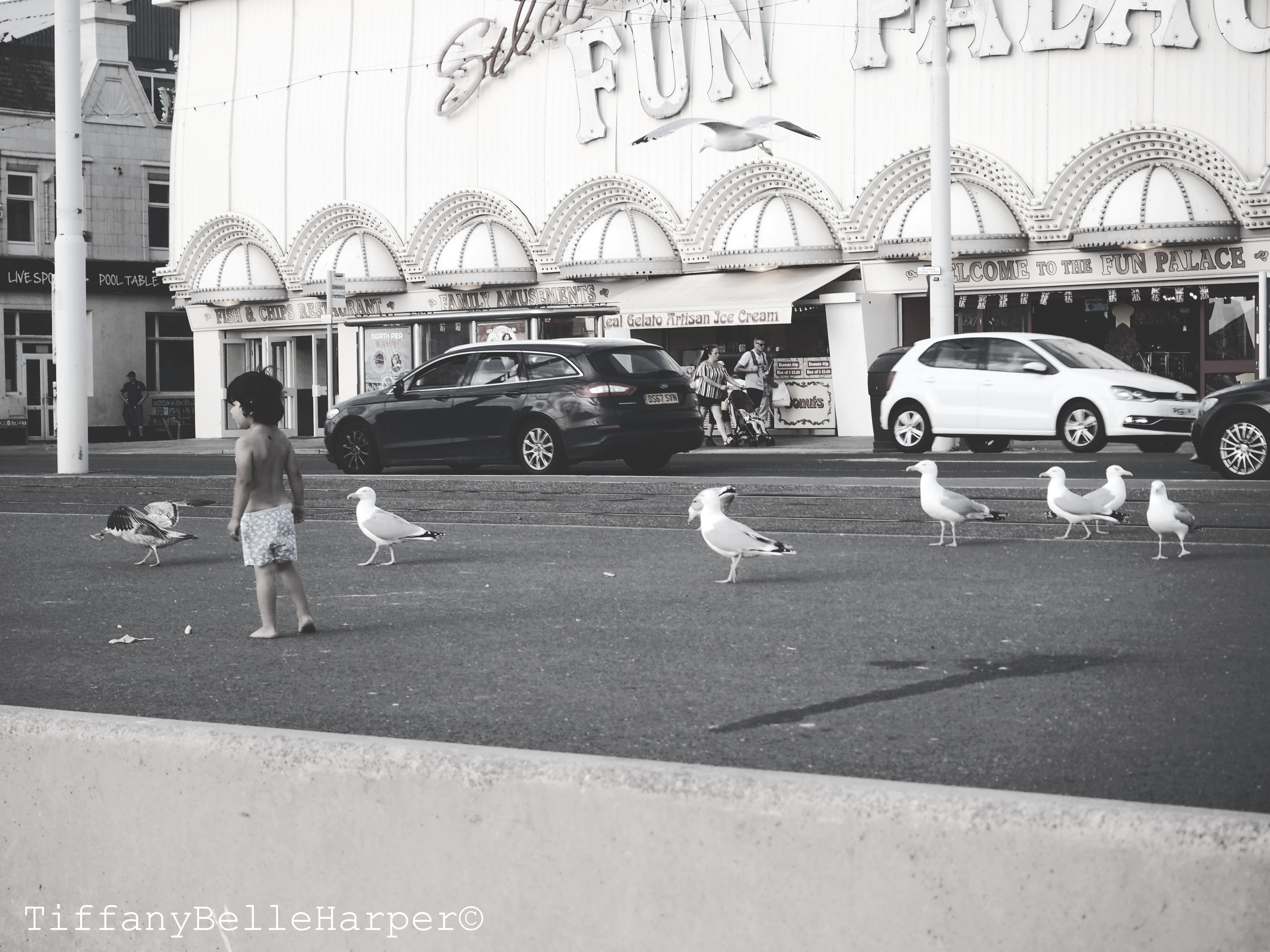 Tiffany Belle Harper