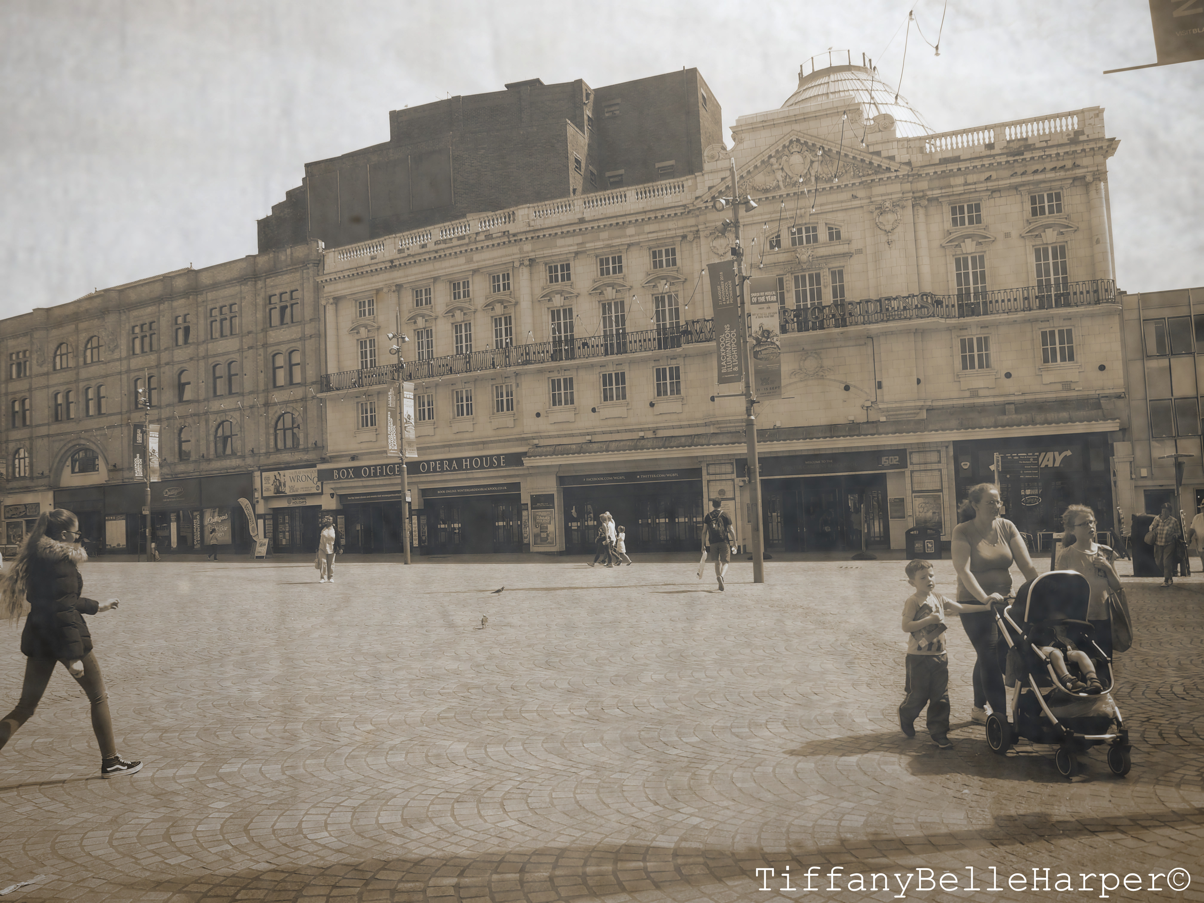 OLYMPUS DIGITAL CAMERA