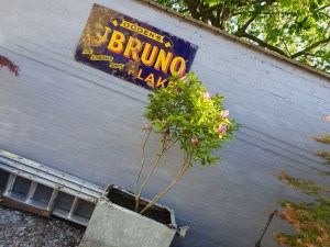 Son's landscape work