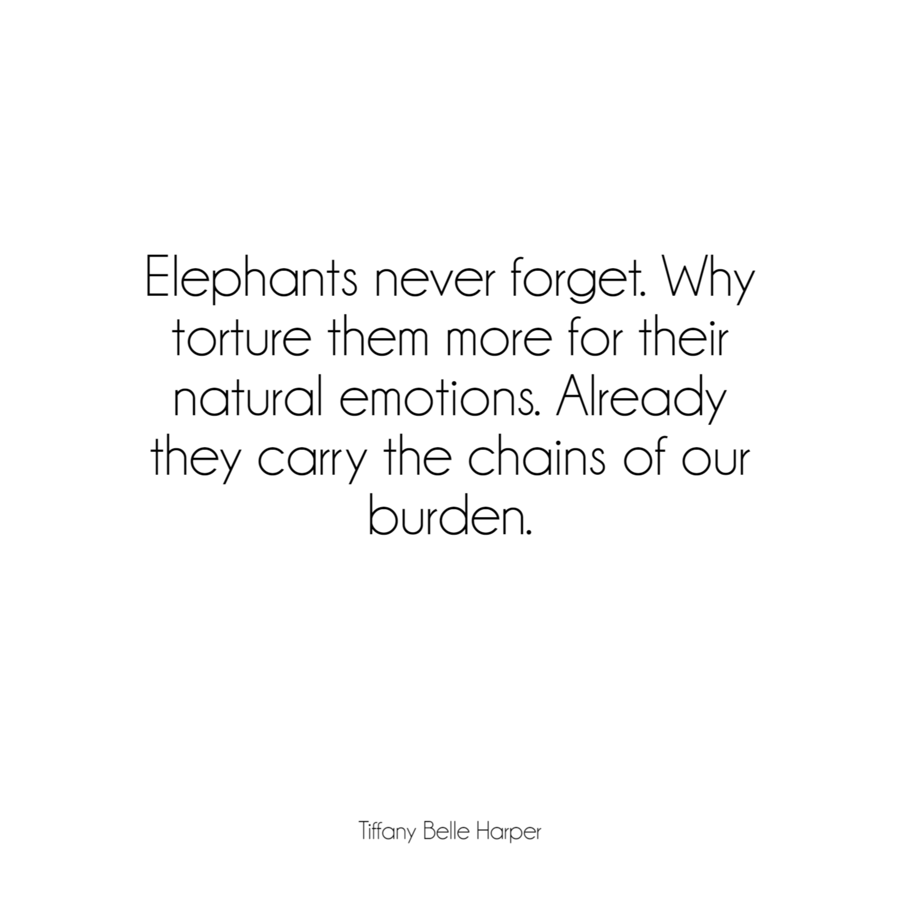 elephants